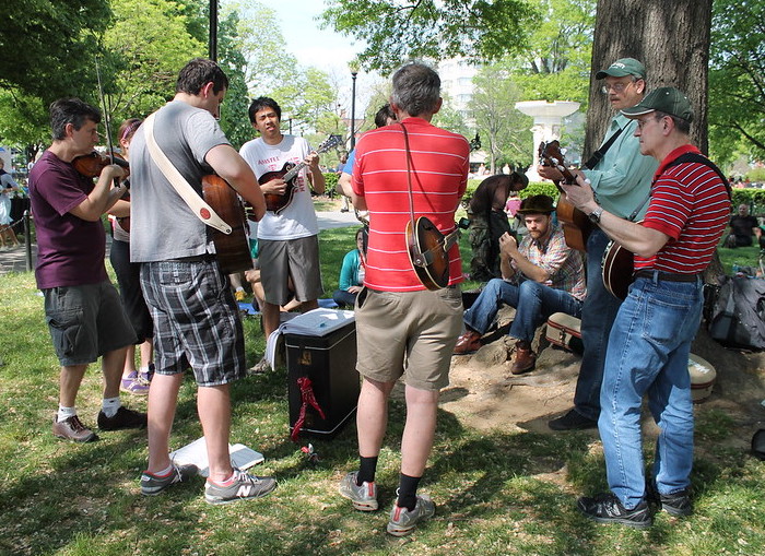 Bluegrass jam etiquette observed by pickers gathered in a circle under a tree in a park