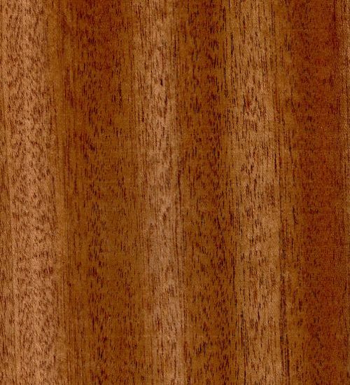 Sapele wood grain up close